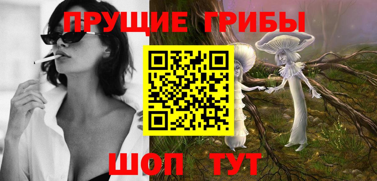 Псилоцибиновые грибы Psilocybe  Вход с VPN  Амурск 